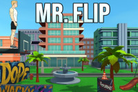 Mr Flip Mr Flip img