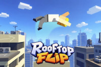 Rooftop Flip img